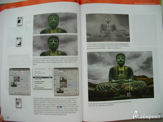 Иллюстрация 2 из 33 для Adobe Photoshop CS5 для фотографов. Вершины мастерства (+DVD) - Ивнинг, Шеве | Лабиринт - книги. Источник: kolobus