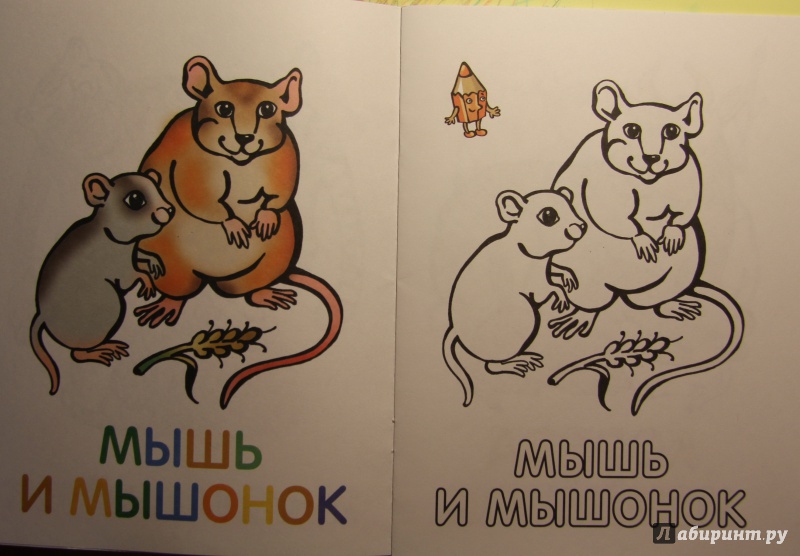 Иллюстрация 6 из 33 для Раскраска для малышей. Родители и детки. Тигрята | Лабиринт - книги. Источник: Тасиа