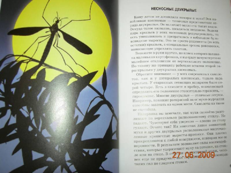 Иллюстрация 22 из 40 для Жуки и другие удивительные насекомые - Сергей Афонькин | Лабиринт - книги. Источник: Соловей