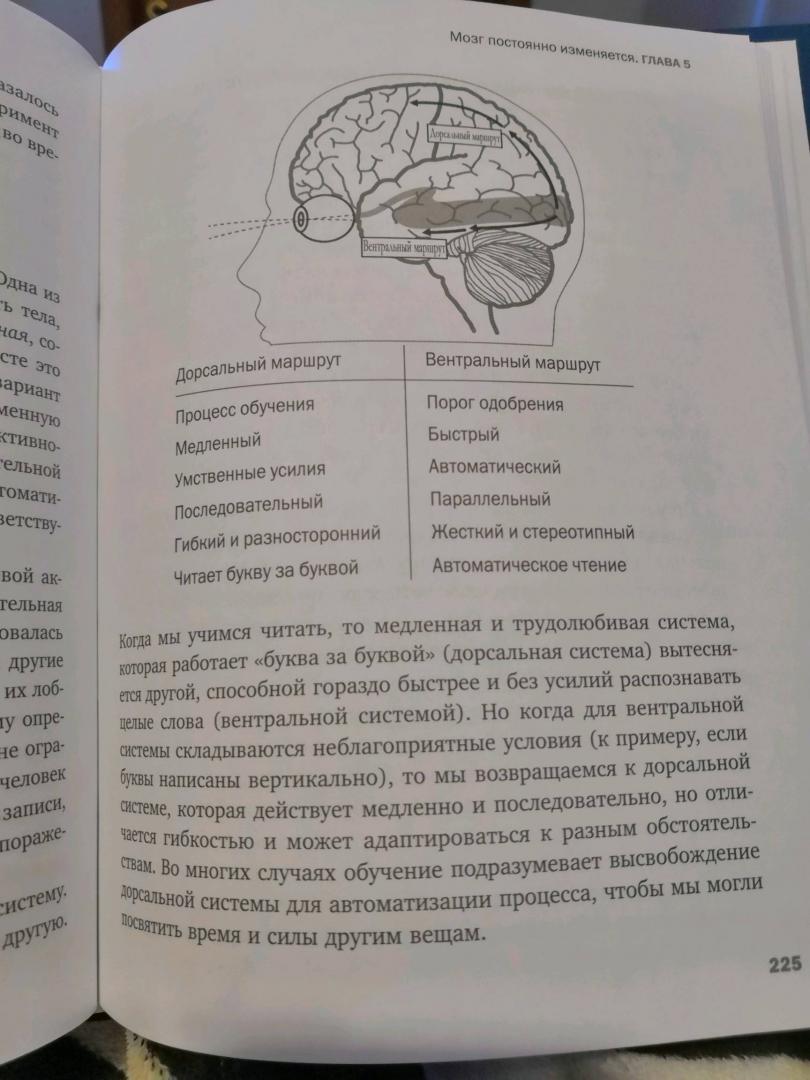 Жизнь мозга читать. Тайная жизнь мозга Мариано Сигман. Тайная жизнь мозга книга. Новая жизнь мозга книга. Тайная жизнь мозга книга купить.