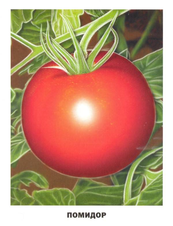 Иллюстрация 18 из 30 для Обучающие карточки. Овощи и фрукты | Лабиринт - игрушки. Источник: Мистер Гусёв