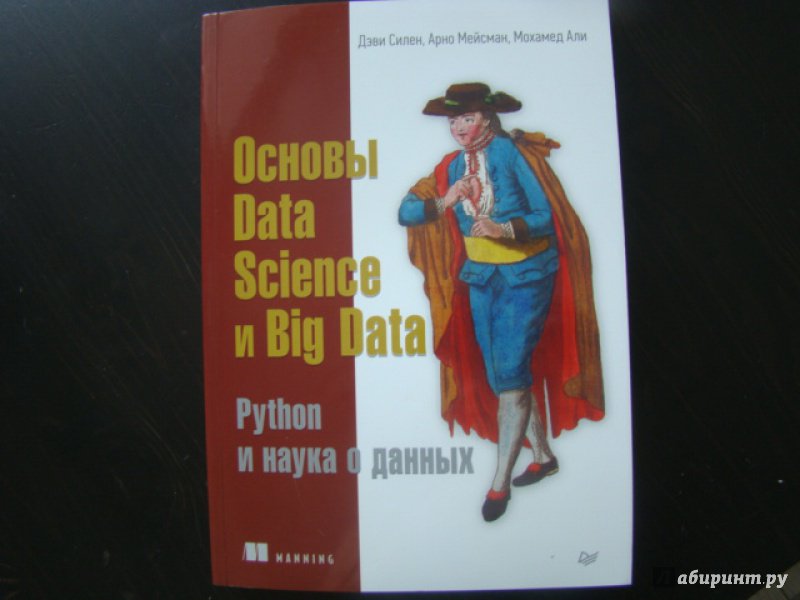 Иллюстрация 2 из 24 для Основы Data Science и Big Data. Python и наука о данных - Силен, Мейсман, Мохамед | Лабиринт - книги. Источник: lulumix