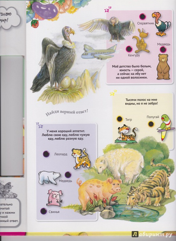 Иллюстрация 25 из 42 для Для малышей загадки о животных | Лабиринт - книги. Источник: Моисеева  Ирина