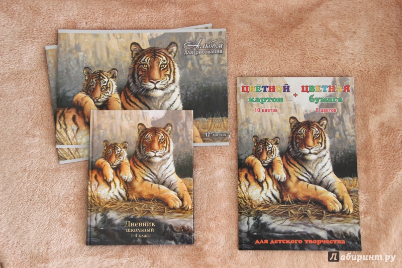 Иллюстрация 5 из 8 для Картон цветной + бумага цветная "Тигрица" (10 листов+16 листов) (41517) | Лабиринт - канцтовы. Источник: дважды