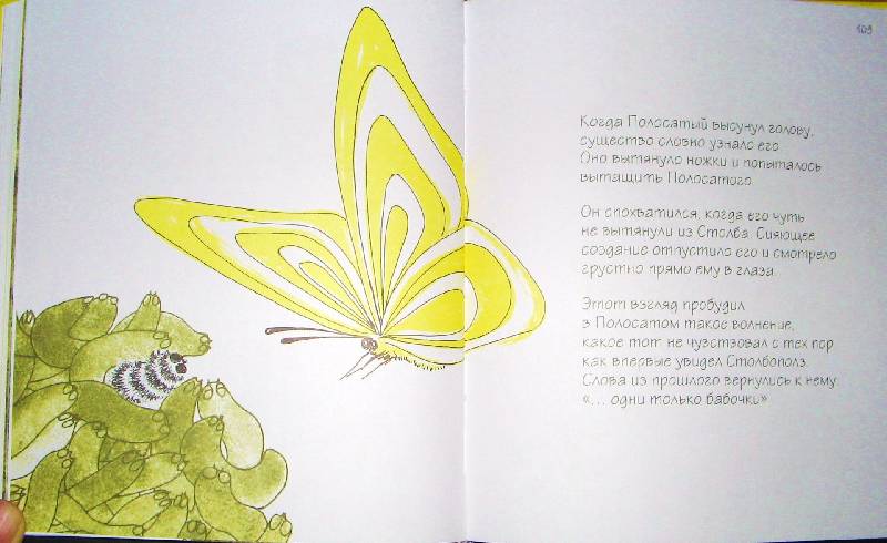 Иллюстрация 10 из 11 для Надежда каждого цветка - Трина Паулус | Лабиринт - книги. Источник: Читательница