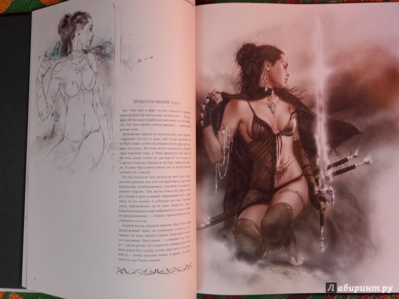 Иллюстрация 27 из 32 для Смертельная красота - Луис Ройо | Лабиринт - книги. Источник: B17d8  V04ger609