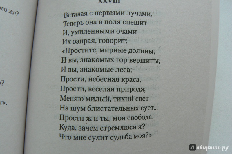 Иллюстрация 14 из 14 для Евгений Онегин - Александр Пушкин | Лабиринт - книги. Источник: Марина