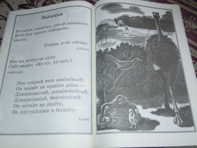 Иллюстрация 11 из 13 для 100 познавательных текстов для обучения детей чтению - Узорова, Нефедова | Лабиринт - книги. Источник: Iwolga