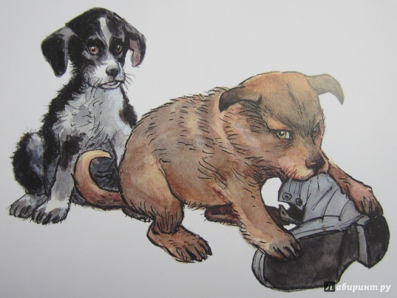 Иллюстрация 20 из 33 для Про щенков - Агния Барто | Лабиринт - книги. Источник: Пирогова  Ольга