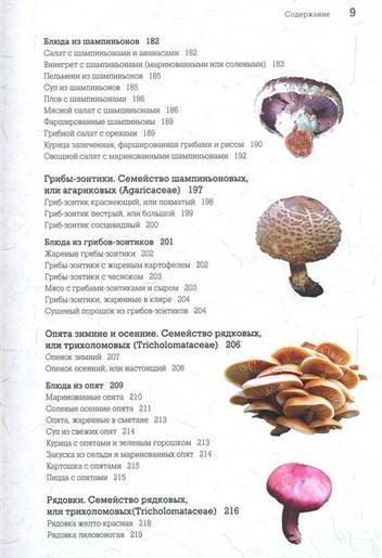 Иллюстрация 19 из 24 для Самые вкусные грибы - Матанцев, Матанцева | Лабиринт - книги. Источник: Золотая рыбка