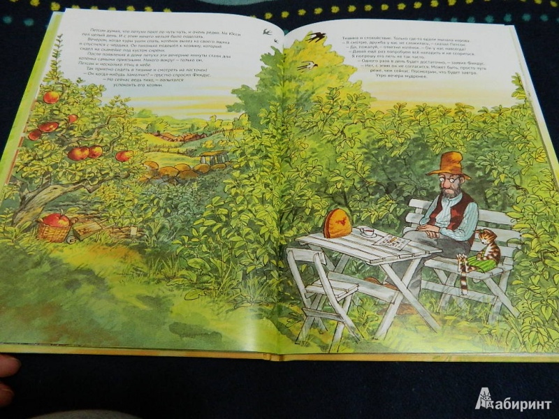 Иллюстрация 21 из 47 для Чужак в огороде - Свен Нурдквист | Лабиринт - книги. Источник: Мама Ольга