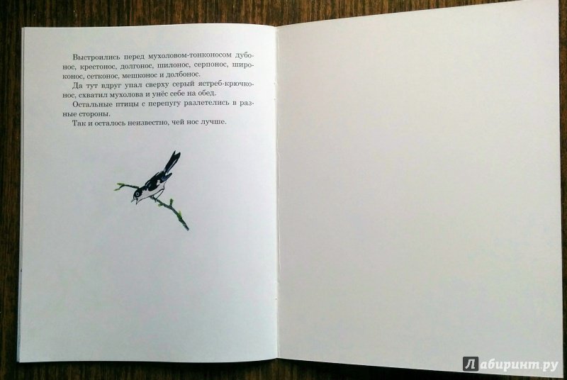 Иллюстрация 50 из 51 для Чей нос лучше - Виталий Бианки | Лабиринт - книги. Источник: Natalie Leigh