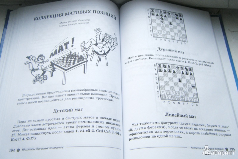 Иллюстрация 5 из 9 для Шахматы для юных чемпионов - Антонина Трофимова | Лабиринт - книги. Источник: Ихто  Ася