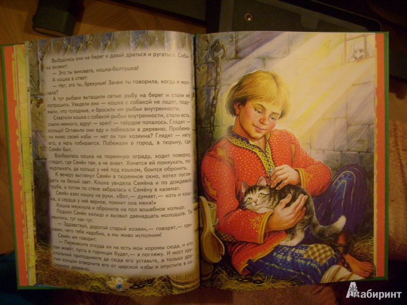 Иллюстрация 18 из 33 для Волшебное кольцо. Умная внучка - Андрей Платонов | Лабиринт - книги. Источник: Оля******