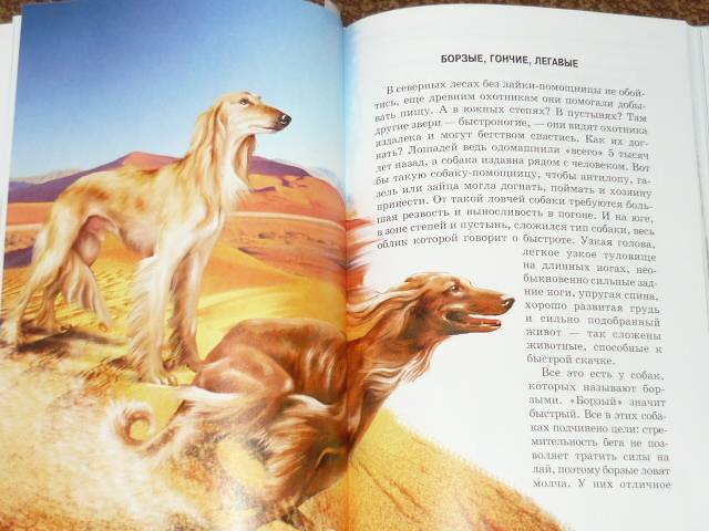 Иллюстрация 4 из 24 для Собаки - Е.И. Александрова | Лабиринт - книги. Источник: Ромашка:-)