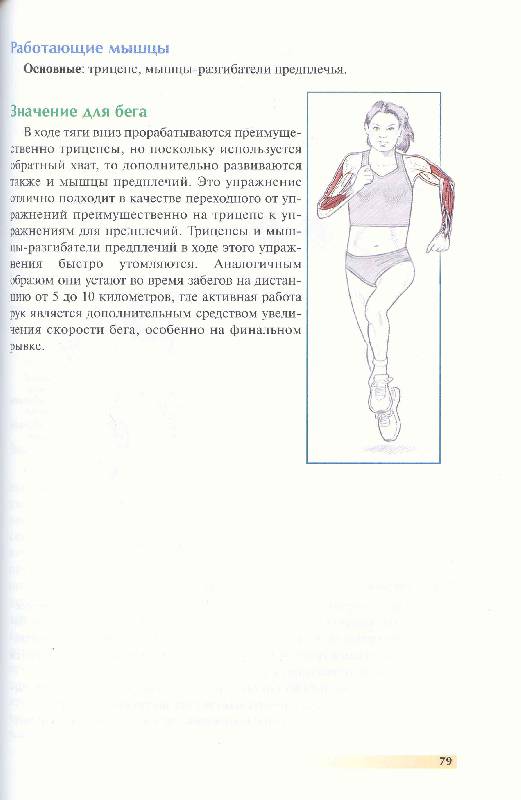 Иллюстрация 30 из 35 для Анатомия бега - Пулео, Милрой | Лабиринт - книги. Источник: Милада