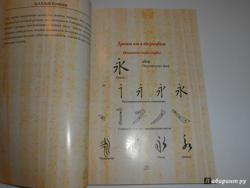 Иллюстрация 13 из 21 для Китайская живопись и каллиграфия. Уроки для начинающих (+DVD) - Жуй, Утянская | Лабиринт - книги. Источник: Леан