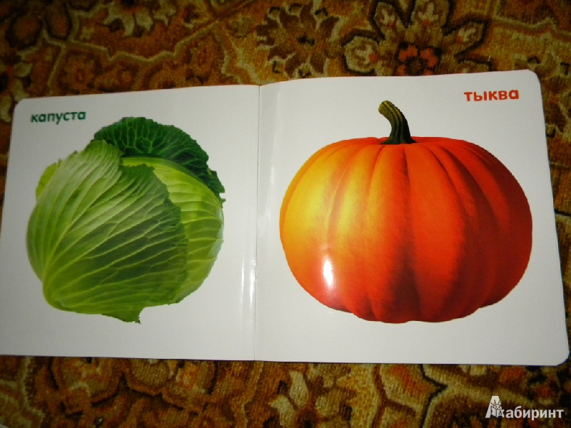 Иллюстрация 6 из 7 для Овощи | Лабиринт - книги. Источник: Тимофеева  Ольга Юрьевна