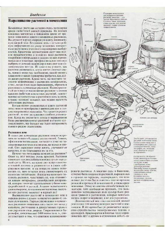 Иллюстрация 2 из 23 для Самые распространенные комнатные растения - Дэвид Лонгман | Лабиринт - книги. Источник: Юта