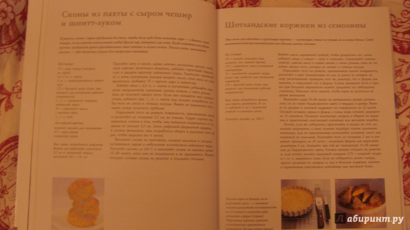 Иллюстрация 5 из 27 для Как готовить быстрые закуски, бобовые, консервированные заготовки, диетические и праздничные блюда - Делия Смит | Лабиринт - книги. Источник: Olla-la