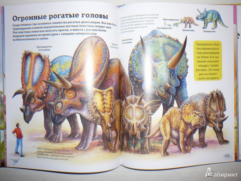 Иллюстрация 10 из 28 для Детская энциклопедия динозавров - Франциско Арредондо | Лабиринт - книги. Источник: Анна Ванна