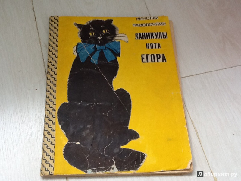 Каникулы кота егора. Наволочкин каникулы кота Егора. Каникулы кота Егора книга.