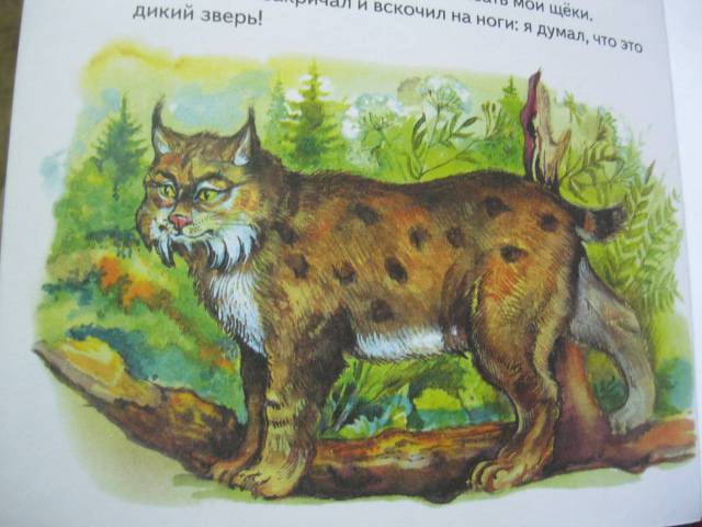 Иллюстрация 18 из 31 для Охотничьи истории - Геннадий Снегирев | Лабиринт - книги. Источник: NINANI