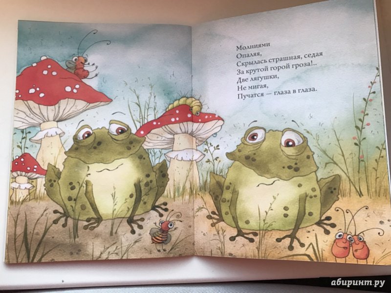 Иллюстрация 48 из 52 для Лягушки - Сергей Козлов | Лабиринт - книги. Источник: Попова  Юлия