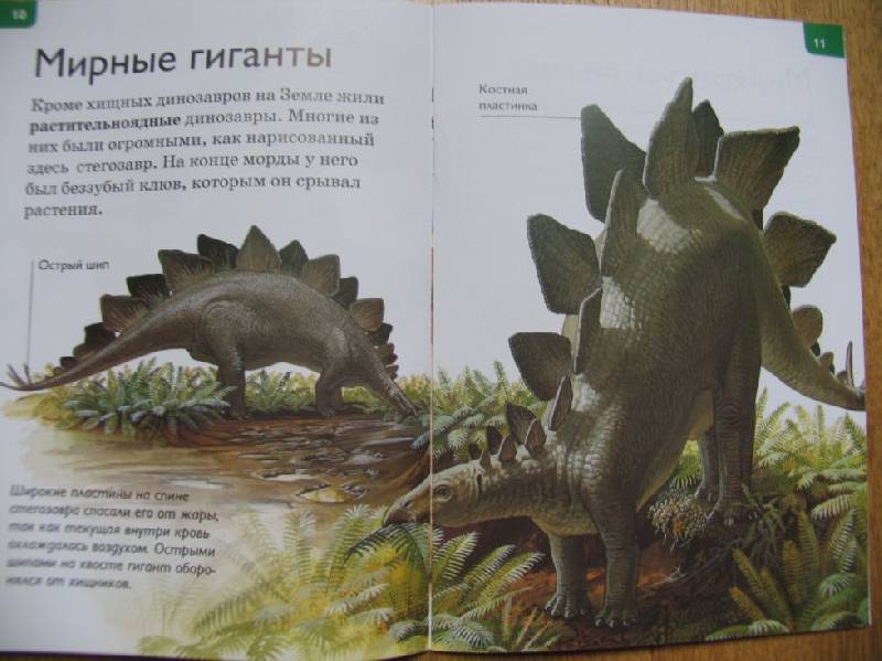 Иллюстрация 7 из 31 для Динозавры - Роберт Коуп | Лабиринт - книги. Источник: ВВС