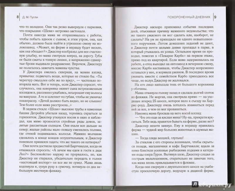 Иллюстрация 25 из 57 для Похороненный дневник - Д. Пулли | Лабиринт - книги. Источник: Alex