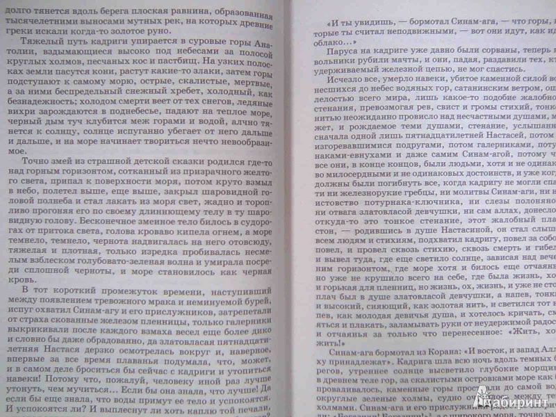 Иллюстрация 5 из 9 для Роксолана. Роковая любовь Сулеймана Великолепного. Книга первая - Павел Загребельный | Лабиринт - книги. Источник: Салус