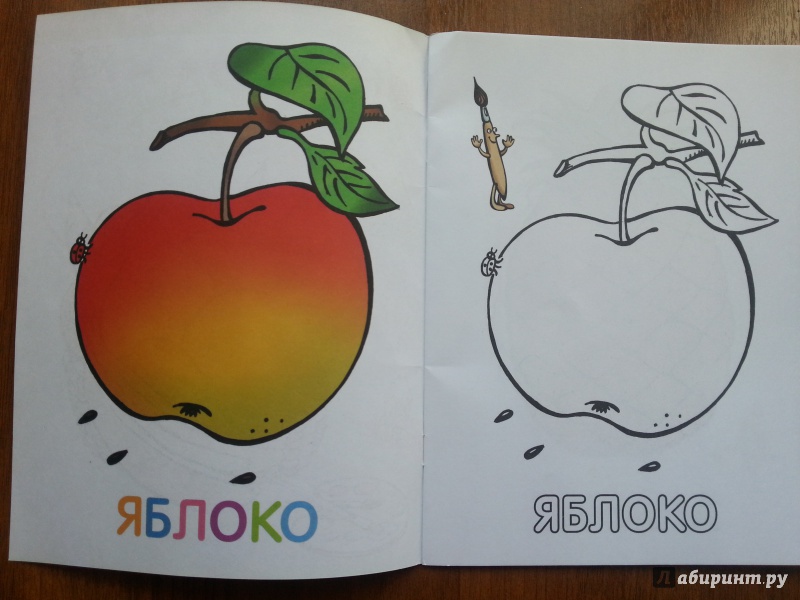 Иллюстрация 23 из 35 для Раскраска для малышей. Фрукты | Лабиринт - книги. Источник: Баскова  Юлия Сергеевна