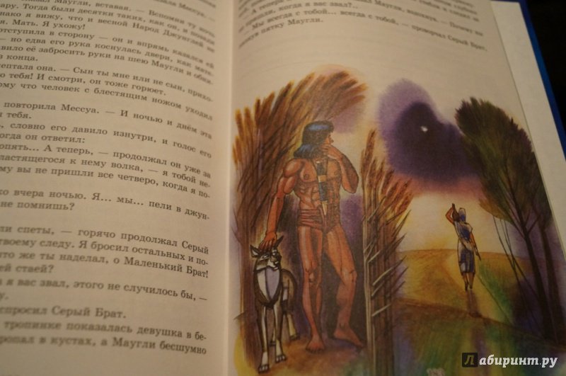 Иллюстрация 60 из 64 для Маугли - Редьярд Киплинг | Лабиринт - книги. Источник: Тухкина  Евгения