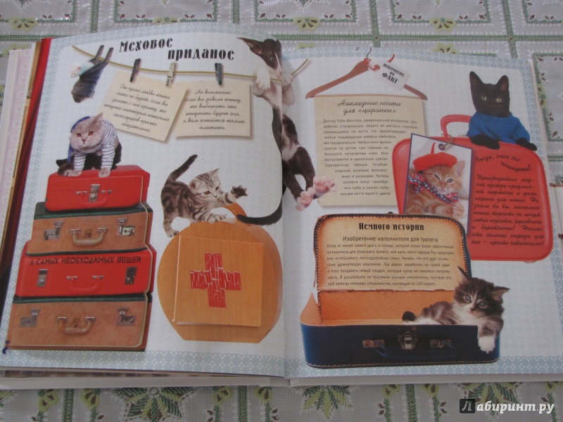 Иллюстрация 18 из 40 для Кошки. Подарок для всех, кто влюблен в кошек - Жан Кювелье | Лабиринт - книги. Источник: Nalyc
