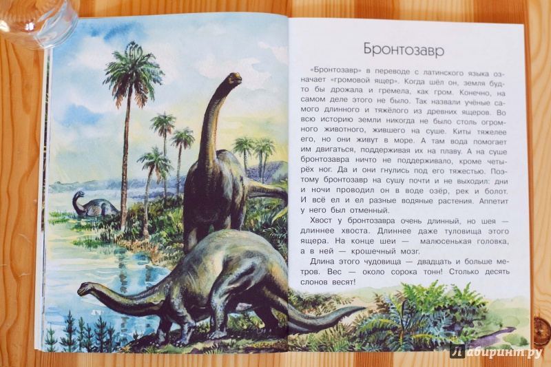 Иллюстрация 9 из 15 для Когда крокодилы летали - Игорь Акимушкин | Лабиринт - книги. Источник: мадам_М