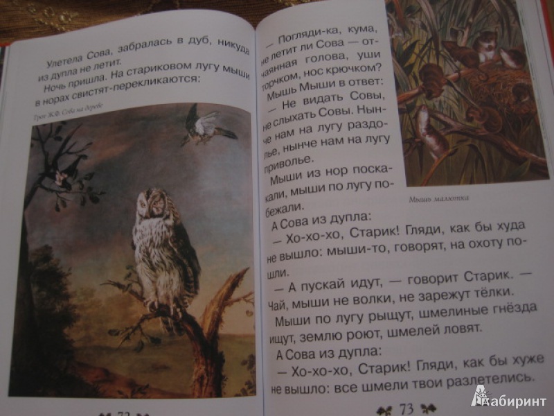 Иллюстрация 6 из 62 для Сказки и рассказы о животных - Виталий Бианки | Лабиринт - книги. Источник: Книгомама
