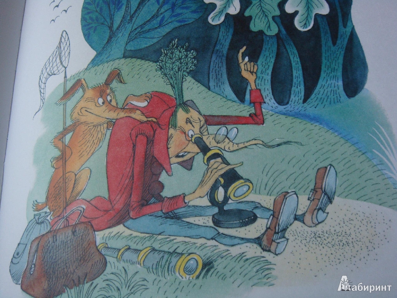 Иллюстрация 19 из 55 для Приключения Чиполлино - Джанни Родари | Лабиринт - книги. Источник: мама медведика