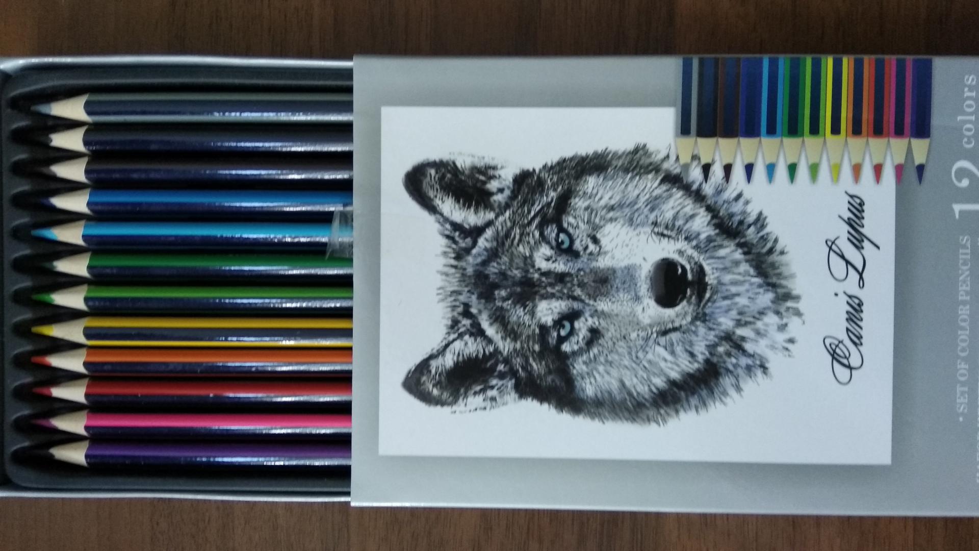 Иллюстрация 42 из 55 для Набор цветных карандашей, 12 цветов "Волк" (32870-12) | Лабиринт - канцтовы. Источник: Тамара Качалова