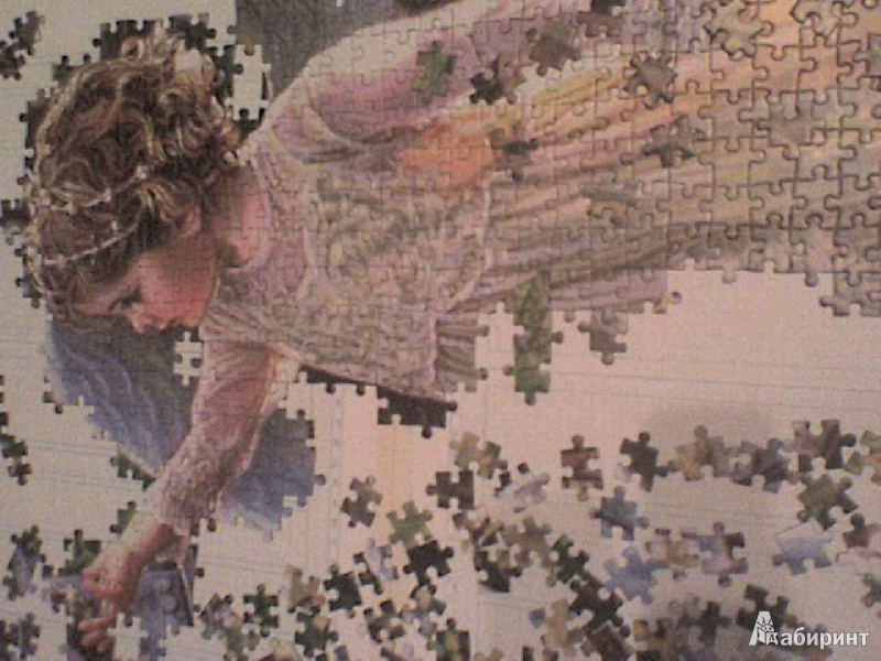 Иллюстрация 2 из 8 для Puzzle-1000 "Рука помощи" (C-102808) | Лабиринт - игрушки. Источник: Роза с шипами