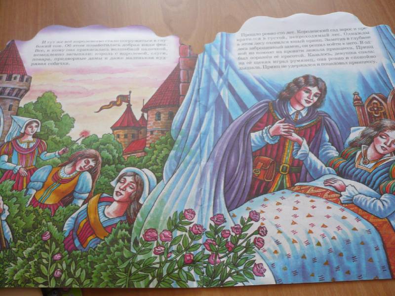 Иллюстрация 2 из 3 для Спящая красавица | Лабиринт - книги. Источник: Домбиблиотека