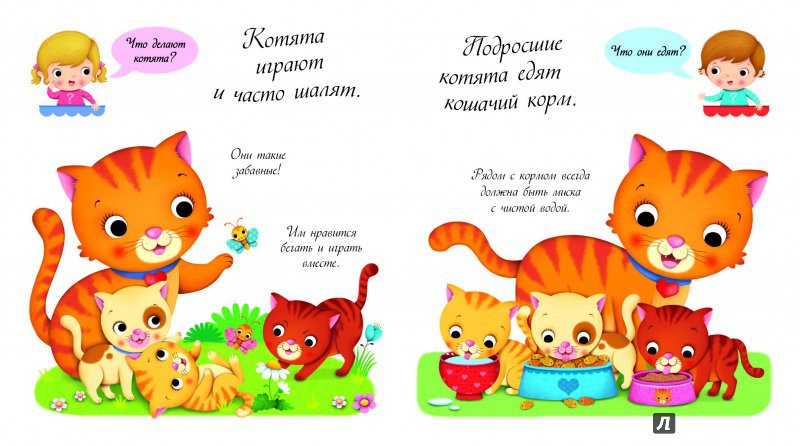 Иллюстрация 4 из 20 для Кошки и котята | Лабиринт - книги. Источник: Редактор этой книги
