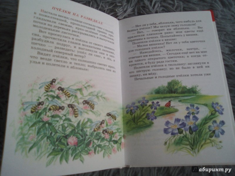Иллюстрация 31 из 36 для Рассказы - Константин Ушинский | Лабиринт - книги. Источник: Selenita