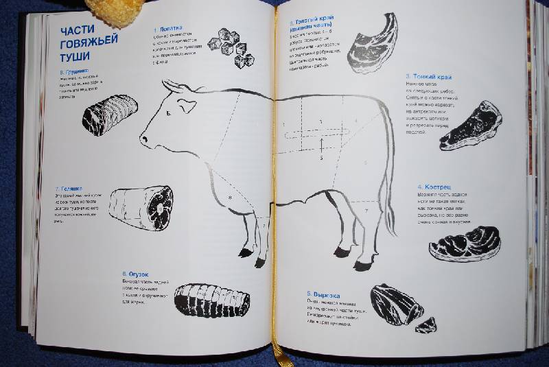Иллюстрация 26 из 36 для Готовим с Джейми. Руководство по превращению в повара - Джейми Оливер | Лабиринт - книги. Источник: Azarika