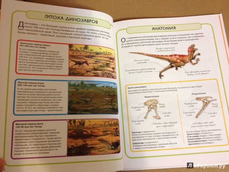 Иллюстрация 27 из 29 для Динозавры - Стив Паркер | Лабиринт - книги. Источник: Шашуловская  Дарья