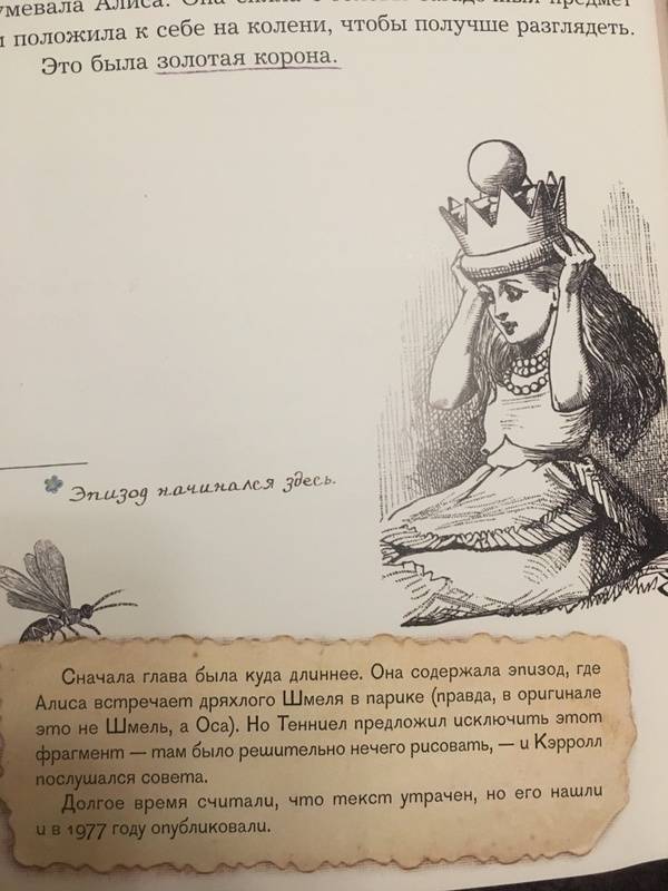 Иллюстрация 191 из 240 для Приключения Алисы в Стране Чудес. Тканевая обложка - Льюис Кэрролл | Лабиринт - книги. Источник: Габдулхакова  Светлана