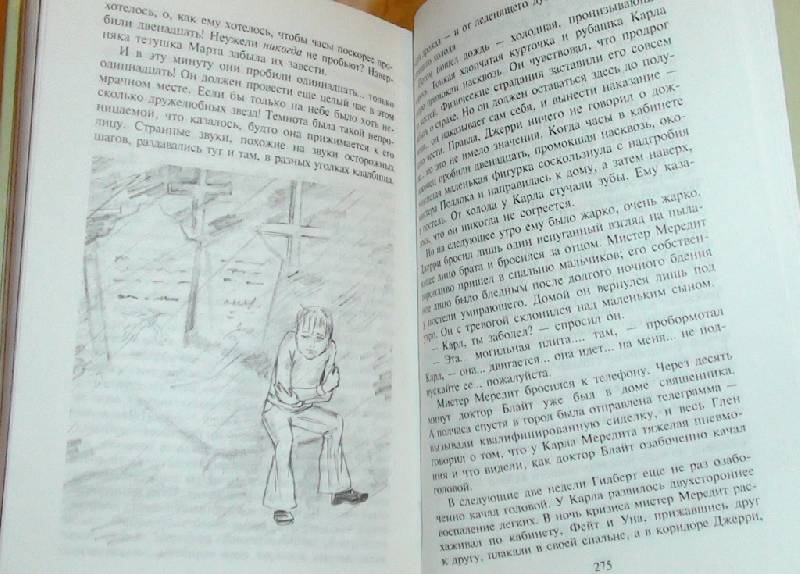Иллюстрация 5 из 5 для Аня и Долина Радуг - Люси Монтгомери | Лабиринт - книги. Источник: Дочкина Мамочка