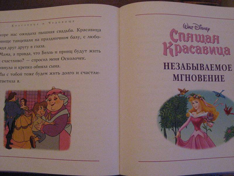 Иллюстрация 2 из 6 для Лучшие сказки о принцессах | Лабиринт - книги. Источник: Sapphire