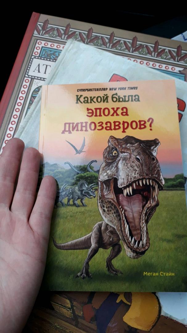 Иллюстрация 11 из 13 для Какой была эпоха динозавров? - Мари Стайн | Лабиринт - книги. Источник: Баранова Анастасия