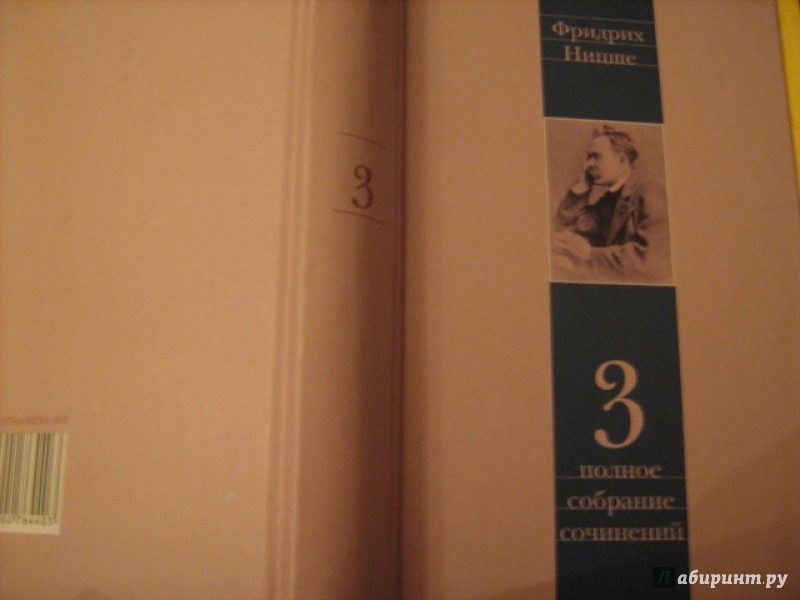 Иллюстрация 10 из 14 для Полное собрание сочинений. В 13-ти томах. Том 3. Утренняя заря. Мессинские идиллии. Веселая наука - Фридрих Ницше | Лабиринт - книги. Источник: Mashutka