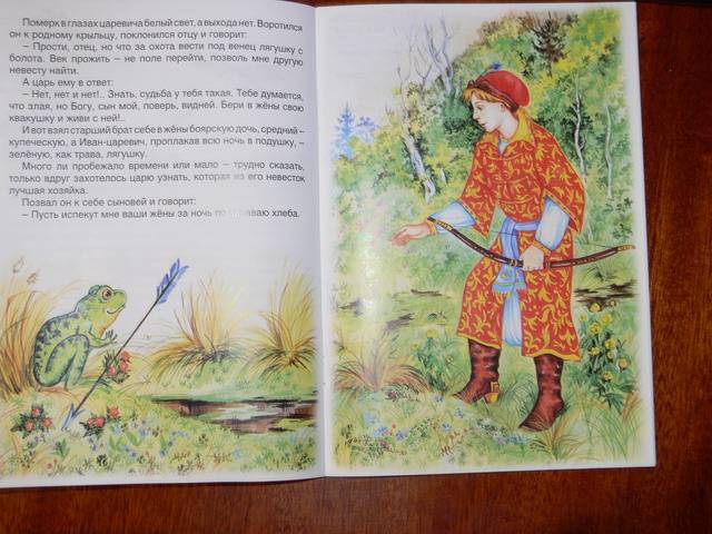 Иллюстрация 30 из 41 для Царевна-лягушка | Лабиринт - книги. Источник: Irbis